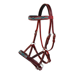 Élégante bride anglaise en cuir pour cheval, version 1, avec frontal rembourré réglable, ajustement sécurisé pour les leçons, l'équitation en club et l'entraînement. - Product Image 2