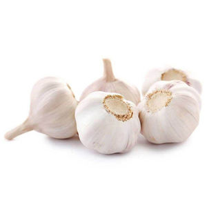 Ajo Fresco de Primera Calidad, Bulbos de Ajo Cosechados en Granja, Suministro a Granel para Importadores Internacionales de Vegetales y Compradores Mayoristas - Product Image 1