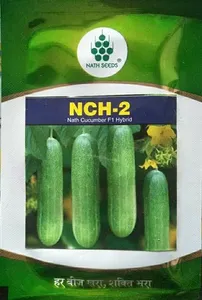 Semillas de Pepino de Primera Calidad para Agricultura, Alto Rendimiento, Resistentes a Enfermedades, Calidad de Exportación, Marca CRADLE LIFE, 12 Meses - Product Image 2