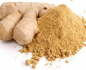 Jengibre en Polvo, Fabricantes de Alimentos Chinos Producen Alimentos Orgánicos, Shengjiang a Precio Accesible - Product Image 6