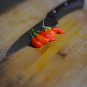 Piment rouge entier indien 100 % pur de qualité export, provenant du Gujarat, avec une durée de conservation de 24 mois, pour les entreprises d'approvisionnement international - Product Image 2