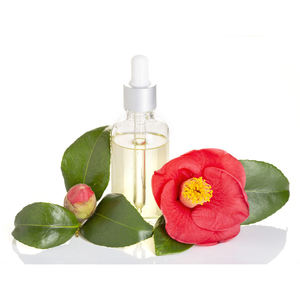 Certified Organic Nature Factory Supply Pure Original Camellia Japonica Seed <b>Oil</b> for Skin Care - Product Image 3