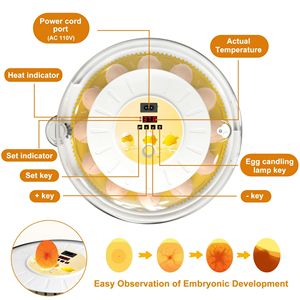 ตู้ฟักไข่18-พร้อมที่แสดงความชื้นและที่หมุนไข่อัตโนมัติสำหรับการฟักไข่ไก่ - Product Image 2