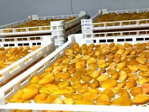 Venta al por mayor de dados de maracuyá suave deshidratado, ingrediente para repostería y mezclas de frutos secos, proveedor de Vietnam - Product Image 5