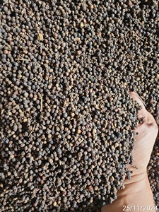 Poivre noir de qualité supérieure, piment de la Jamaïque, origine Vietnam, épice séchée brute AD, 50 kg, certifié HACCP, Phalco JSC - Product Image 2