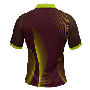 Maillot de cricket élégant à design personnalisé, de haute qualité, séchage rapide, vêtements d'équipe, entraînement, léger, manches courtes - Product Image 6