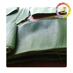 Feuilles de bananier congelées, feuilles d'emballage alimentaire naturelles pour la cuisson, la cuisson à la vapeur et l'exportation - Product Image 1