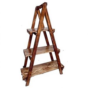 Estante de Escalera de Hierro Rústico que Agrega Encanto Rústico a Cualquier Habitación para Plantas, Libros, Esferas Decorativas, Estantes Resistentes con Recubrimiento en Polvo - Product Image 1