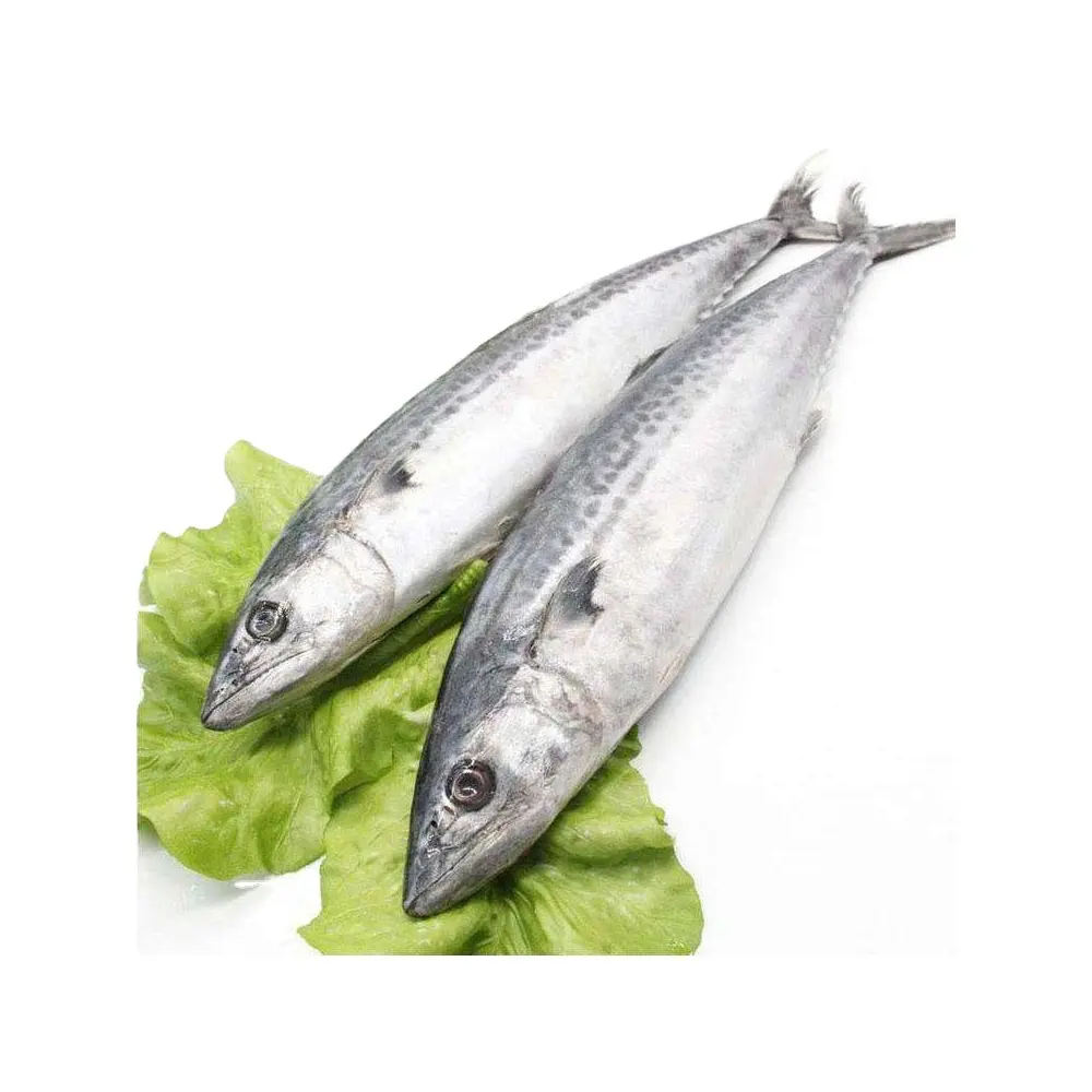 Skipjack Tuna Merokok Kering Makanan Laut Lezat Segar Beku Skipjack Ikan Tuna Dimasak Loin untuk Dijual