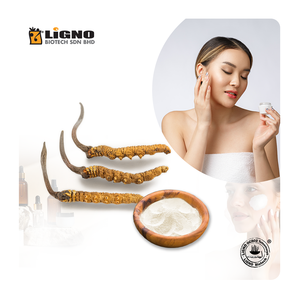 Extracto de Agua de Ophiocordyceps Sinensis - Ingrediente para el Cuidado de la Piel Anti-Fatiga y que Aumenta la Luminosidad - GMP de Malasia - Product Image 1