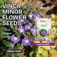Flores Secas de Torenia Premium – Material Floral Seco Natural Decorativo para Manualidades, Potpourri y Decoración del Hogar - Product Image 4