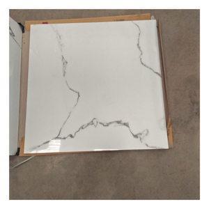 Carreaux de sol et de mur en porcelaine vitrifiée GVT PGVT 600x600mm, fabriqués en Inde pour les acheteurs internationaux - Product Image 1