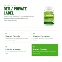 Gummies de créatine monohydrate sans sucre, marque privée OEM, supplément nutritionnel sportif, 60 gummies, approvisionnement en gros