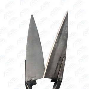 Tijeras Profesionales para Esquilado de Ovejas de Acero Inoxidable de Alta Calidad, Instrumentos Médicos de Acero al Carbono - Product Image 2