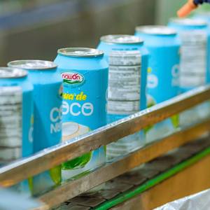 Natural Hydrating Electrolyte Beverage Agua De Coco Drinks 500ML Can Vietnam Organic Coconut <b>Water</b> Wholesale Beverage Supplier - Product Image 3