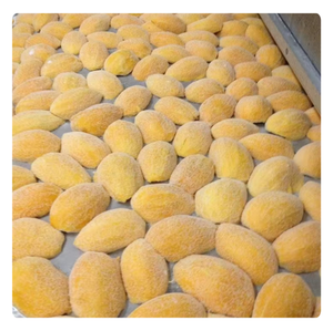 Mangues surgelées en morceaux exquis - Exportation du Vietnam - Ventes chaudes - Product Image 6