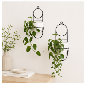 Jardinière murale moderne minimaliste en métal blanc avec cadre en métal noir, style vintage, pot de jardin pour plantes succulentes d'intérieur - Product Image 5