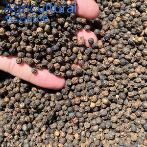 Authentique grains de poivre noir du Vietnam de haute qualité, saveur épicée audacieuse, épices gastronomiques pour la cuisson de l'usine de poivre du Vietnam - Product Image 3