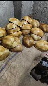 Bol Kapala, trompette, art bouddhiste tibétain du Bhoutan, bol japonais, ensemble de bols Kapala, tasse crâne, Zurich ancien - Product Image 6