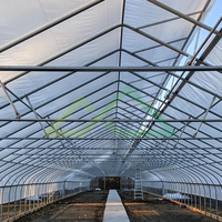 Serre tunnel agricole simple travée de petite taille, structure en acier galvanisé, couverture en film PE, structure stable, montage facile, usage commercial