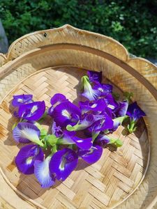 Standard Bulk <b>Dried</b> Butterfly Pea Flowers Natural Blue <b>Petals</b> Organic Herbal Slimming Tea Vacuum Pack Beverage Processing Use - Product Image 5