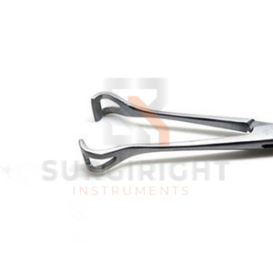 Cortador de Pezuñas de Acero Inoxidable para Caballos, Cuchillo Ovalado para Herradores, Mango de Madera de Caucho, Juego de Instrumentos Veterinarios Reutilizables para Recortar Pezuñas - Product Image 3