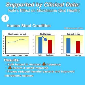 สติ๊กเกอร์โยเกิร์ตเคเฟอร์ญี่ปุ่น วัฒนธรรมการผลิตจากประเทศญี่ปุ่นเพื่อเสริมสร้างภูมิคุ้มกันและสุขภาพทางเดินอาหาร - Product Image 4
