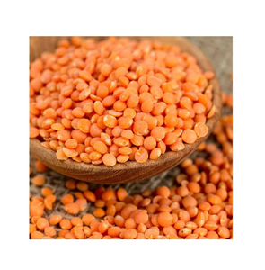 Lentilles Rouges de Qualité Supérieure en Gros, Approvisionnement en Vrac, Qualité Alimentaire Premium, Stock Prêt, Service OEM, Fabricant Exportateur - Product Image 3