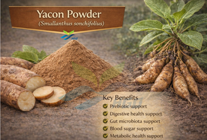 Poudre de Yacon Pure et Naturelle de Qualité Alimentaire, Fourniture Directe d'Usine HGO – Poudre Végétale ou Fruitée - Product Image 2
