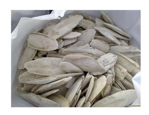 Os de Seiche Séché Naturel à Faible Teneur en Sel en Sachet pour la Santé Dentaire des Oiseaux - Product Image 1