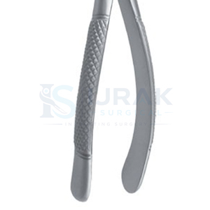 Forceps d'extraction dentaire en acier inoxydable, forceps manuels pour dents, griffes chirurgicales pour usage clinique - Product Image 2