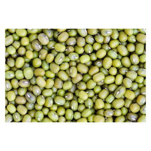 Haricots mungo verts de haute qualité, germinés, d'Éthiopie. - Product Image 3