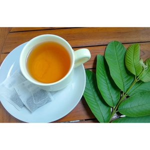 Oferta de Socio Comercial: Hoja de Guayaba Seca, Ingrediente Natural, Precio de Exportación al por Mayor, Hojas de Planta Puras, Empaque en Saco de PP, Origen Vietnam - Product Image 4