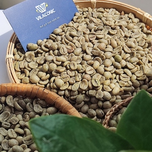 GRANOS DE CAFÉ ROBUSTA VIETNAMITA R1S16 R1S18, LIMPIADOS EN HÚMEDO, CALIDAD DE EXPORTACIÓN, MARCA PRIVADA DISPONIBLE |   CELESTE VILACONIC - Product Image 5