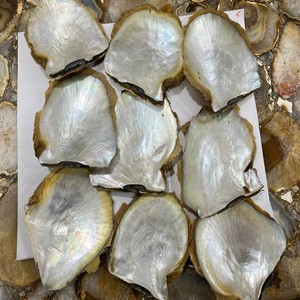 Mejores descuentos en conchas de ostra Akoya de perla natural, conchas marinas de alta calidad para joyería y manualidades. - Product Image 4