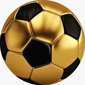Equipo de Entrenamiento de Fútbol Personalizable de Alta Calidad con Logotipo Personalizado, Diseño a Color, Acabado Brillante y Material Personalizado - Product Image 1