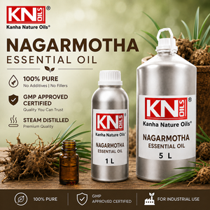 Huile essentielle de Nagarmotha 100% pure de haute qualité, certifiée biologique, Cyperus scariosus, fabricant en gros, fournisseur, exportateur mondial - Product Image 2