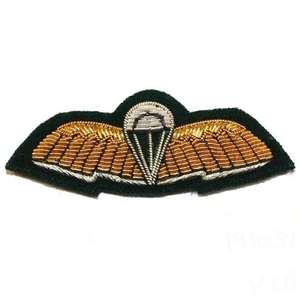 Parches Redondos de Fieltro Verde Oscuro con Bordado a Mano de Lingotes de Oro, Ecológicos, No Tejidos, para Coser en Sombreros, Boinas, Blazers y Gorras con Visera - Venta al por Mayor - Product Image 6