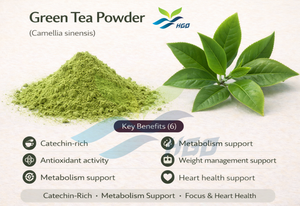 Suministro directo de fábrica de HGO de polvo de té verde natural puro (grado alimenticio) Especificación de polvo de hierbas (polvo de frutas o verduras) - Product Image 3