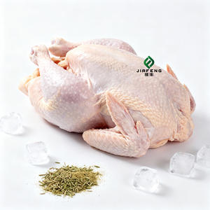 <span class=keywords><strong>Poulet</strong></span> entier congelé halal de qualité supérieure, vente en gros avec <span class=keywords><strong>livraison</strong></span> rapide - Product Image 3