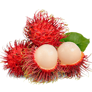 รับส่งรับจัดหาลูกหม่อนสดหวานธรรมชาติ _ จำหน่ายส่งสำหรับผู้นำเข้าและผู้ค้าส่ง - Product Image 1