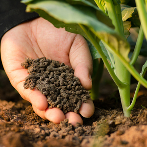 Engrais Organique Prix Usine Haute Qualité Bio-Engrais pour la Croissance des Plantes Amélioration du Sol Fournitures Agricoles - Product Image 3
