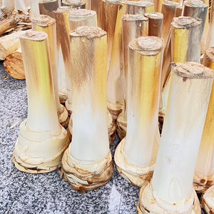 Tiras de Corazón de Coco Joven Deshidratadas Orgánicas de Alta Calidad |   Exportador al por Mayor de Vietnam |   Coco Rallado Vegano Saludable - Product Image 1