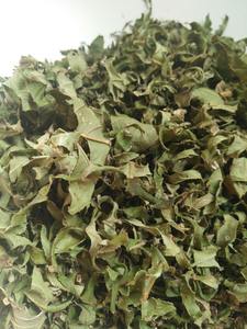 Feuilles de goyavier séchées de source durable, cueillies à la main et séchées à l'air pour préserver leurs propriétés naturelles, destinées aux marchés mondiaux. - Product Image 5