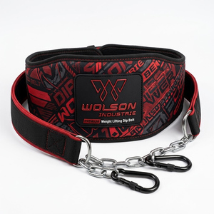 Cinturón de Pesas Ajustable para Hombres y Mujeres, Accesorio de Entrenamiento para Gimnasio, Accesorio de Fuerza con Peso para Dominadas - Product Image 1