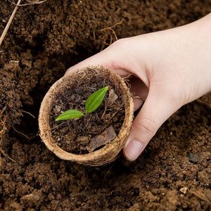 Pot en fibre de coco écologique pour jeunes plantes, semis et décoration moderne des espaces verts - Product Image 4