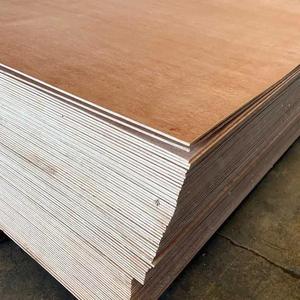 Madera Contrachapada de Melamina/Abeto/Bintangor/Oukume - Tablero de Madera Contrachapada en VENTA - Precio Económico Directo de Fábrica - Product Image 5