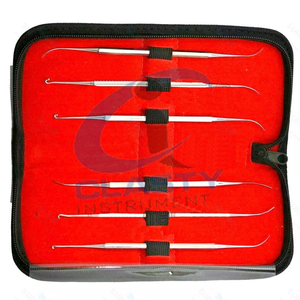 Set6 Kit Profesional Manual de Limpieza Dental con Sonda Oral y Herramientas de Acero Inoxidable, Certificado CE por Grip Surgical - Product Image 2