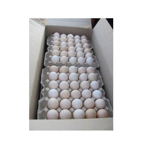 ไข่ไก่สดคุณภาพดีสีน้ำตาล ราคาถูก ไข่ไก่สดจำนวนมาก ไข่ไก่สีน้ำตาล - Product Image 2
