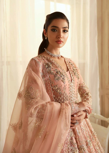 Robe de mariée pakistanaise sur mesure pour femmes musulmanes, avec broderie et imprimé, robe pakistanaise pour occasions spéciales - Product Image 6